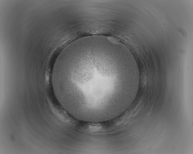 X0000113020214200908271440