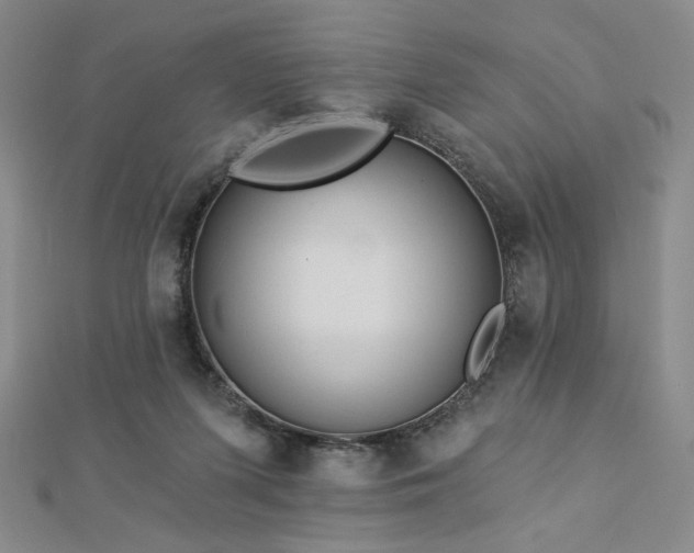 X0000113020215200908271440