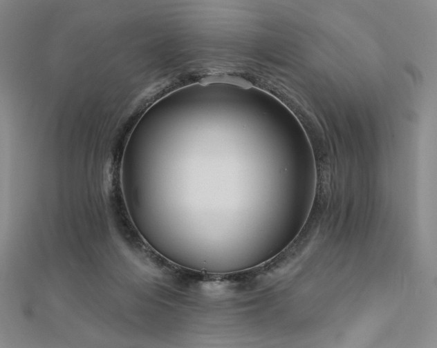 X0000113020216200908271440