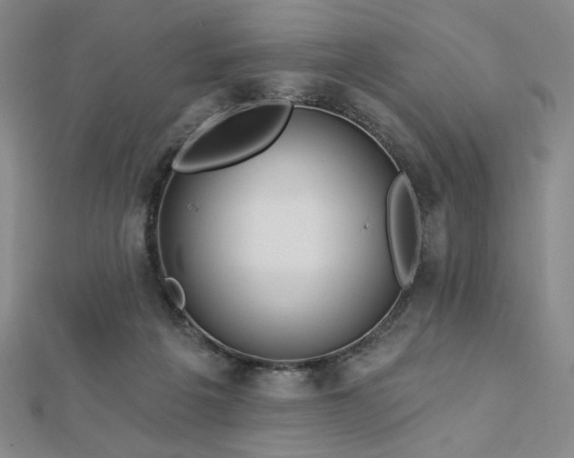 X0000113020217200908271440