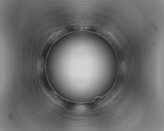 X0000113020218200908271440