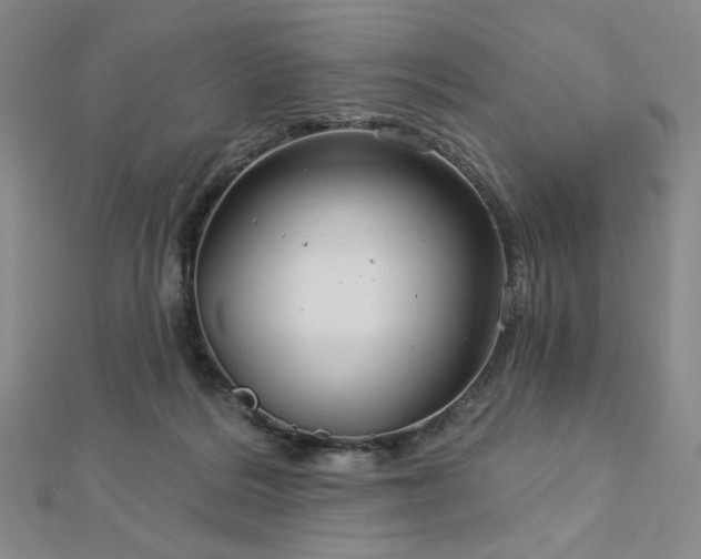 X0000113020220200908271440