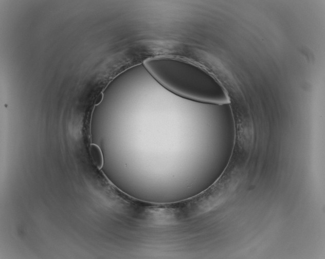 X0000113020221200908271440