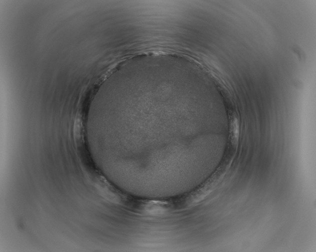 X0000113020222200908271440
