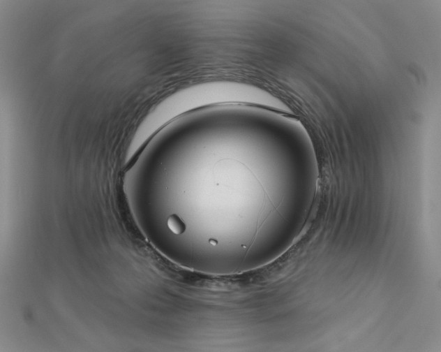 X0000113020223200908271440