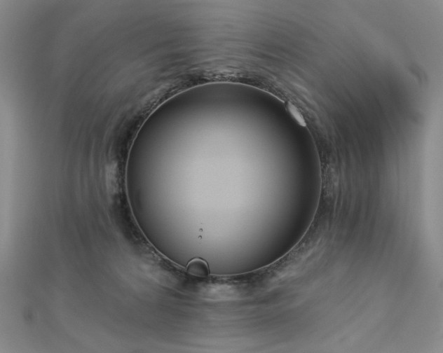 X0000113020224200908271440