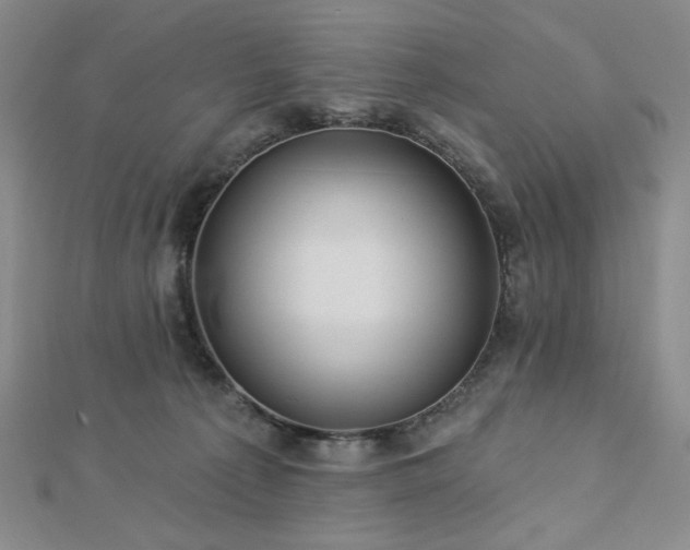 X0000113020225200908271440