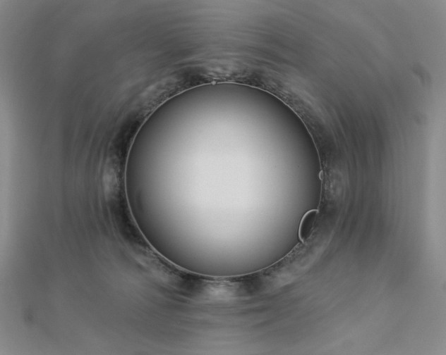 X0000113020226200908271440