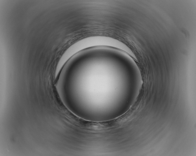 X0000113020229200908271440