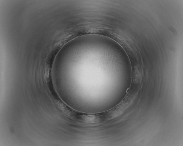 X0000113020230200908271440