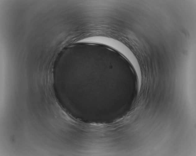 X0000113020231200908271440