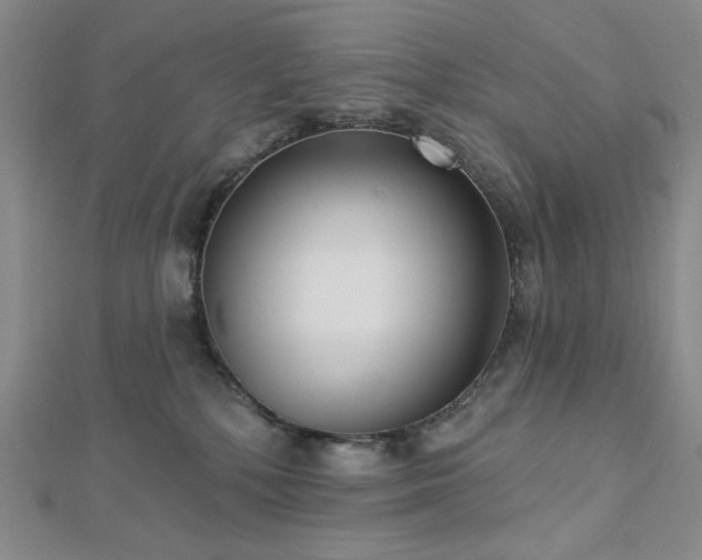 X0000113020232200908271440