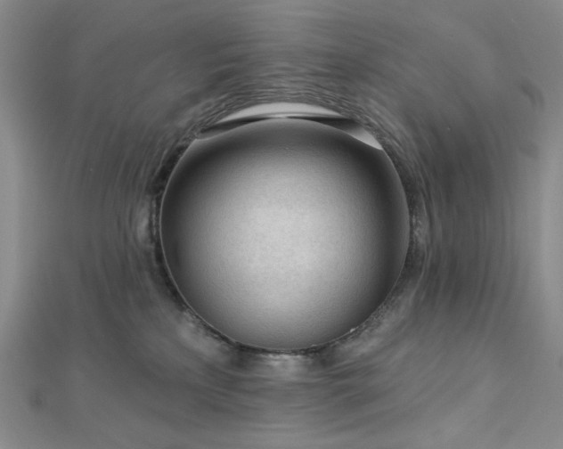 X0000113020233200908271440