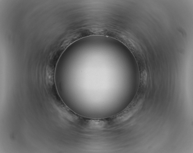 X0000113020234200908271440