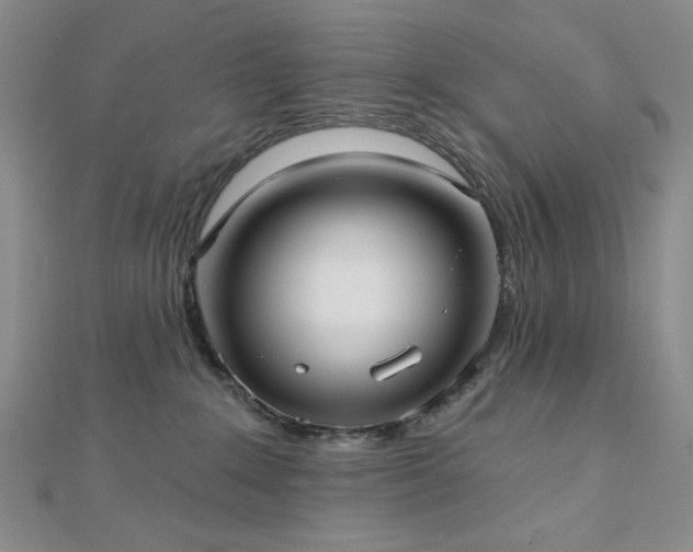 X0000113020235200908271440