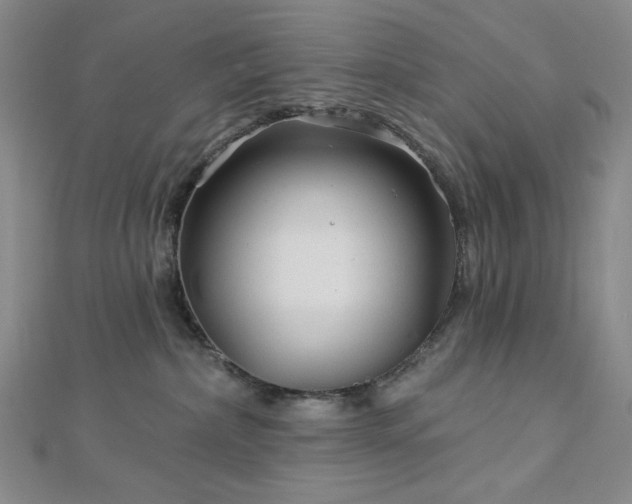 X0000113020236200908271440