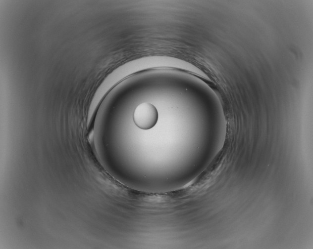 X0000113020237200908271440