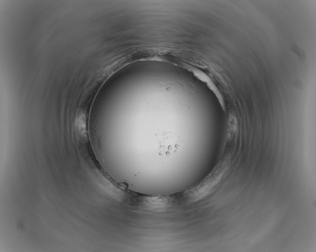 X0000113020238200908271440