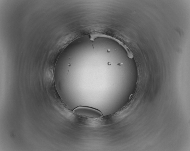 X0000113020240200908271440