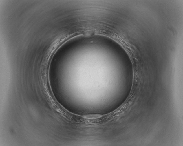 X0000113020241200908271439