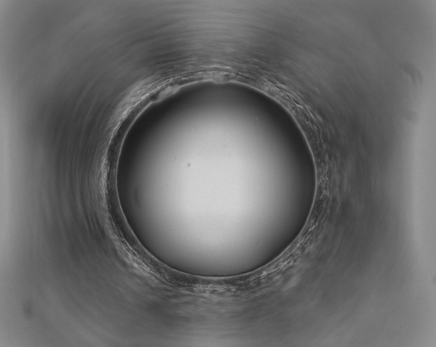 X0000113020242200908271439