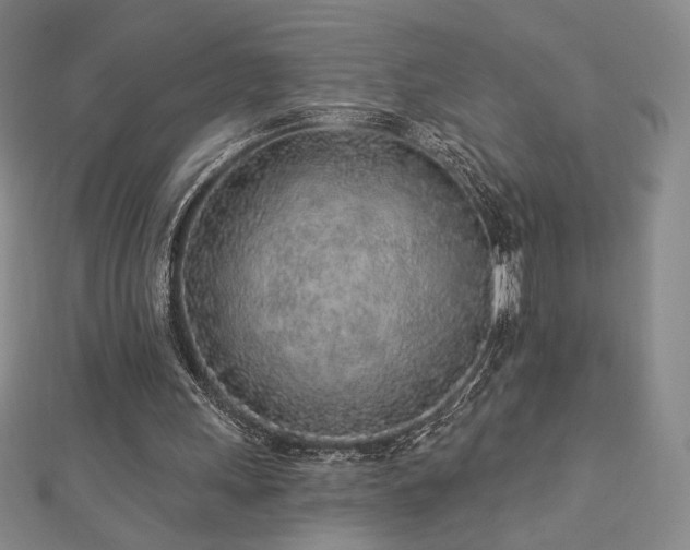 X0000113020243200908271439