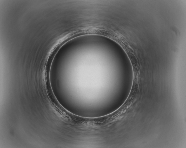 X0000113020244200908271439