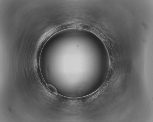 X0000113020245200908271439