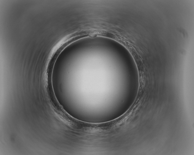 X0000113020246200908271439