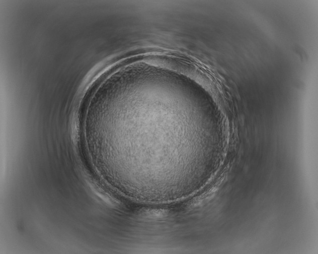 X0000113020247200908271439