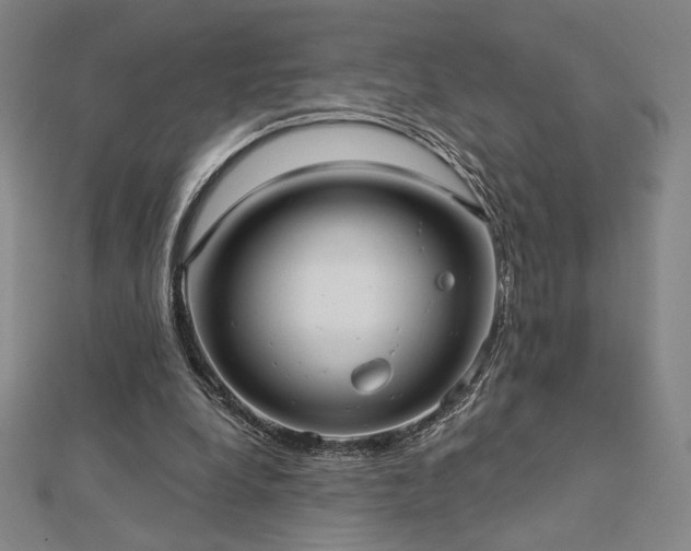 X0000113020248200908271439