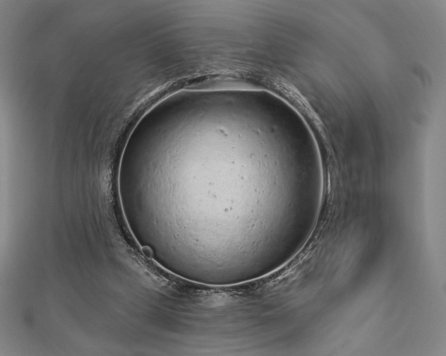 X0000113020249200908271440