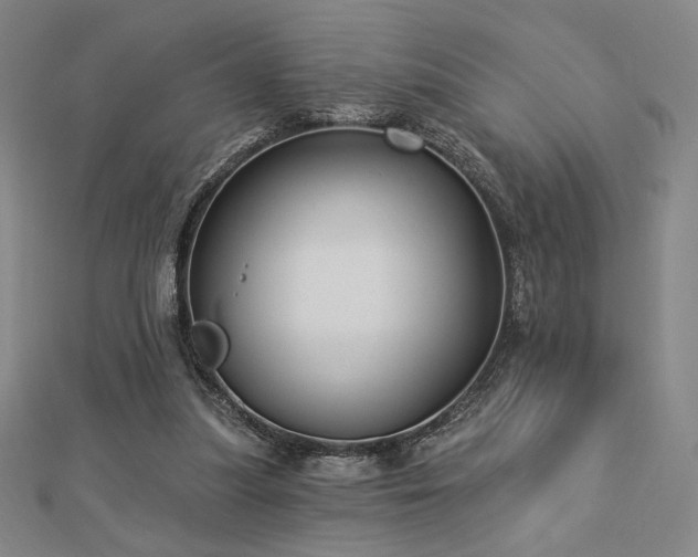X0000113020251200908271440