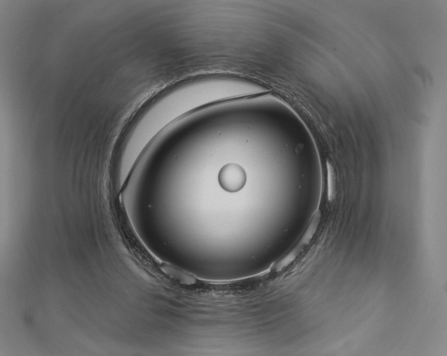 X0000113020252200908271440