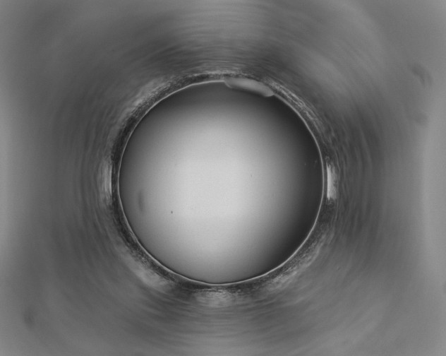 X0000113020253200908271440