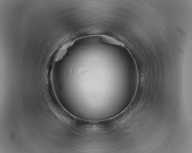 X0000113020254200908271440