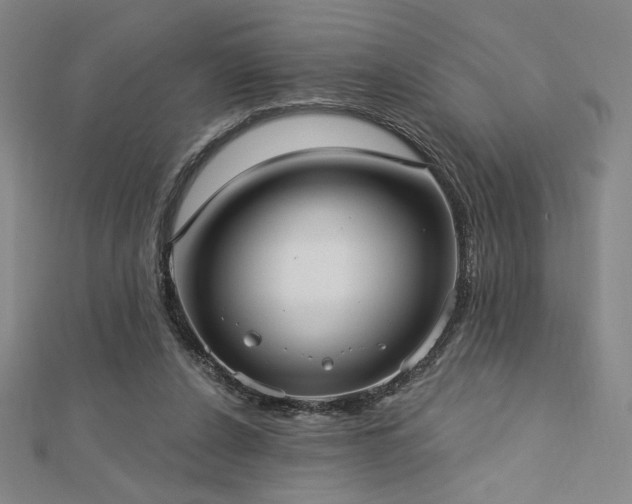 X0000113020256200908271440