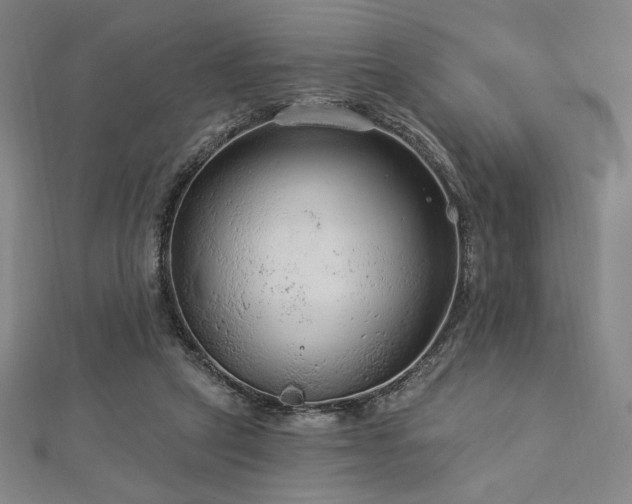X0000113020257200908271440