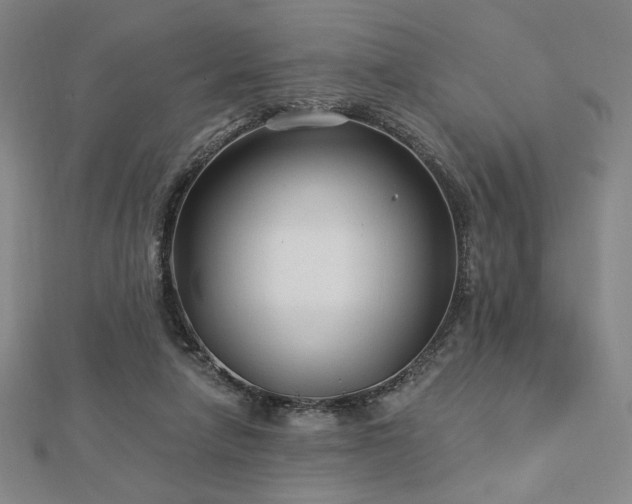 X0000113020258200908271440