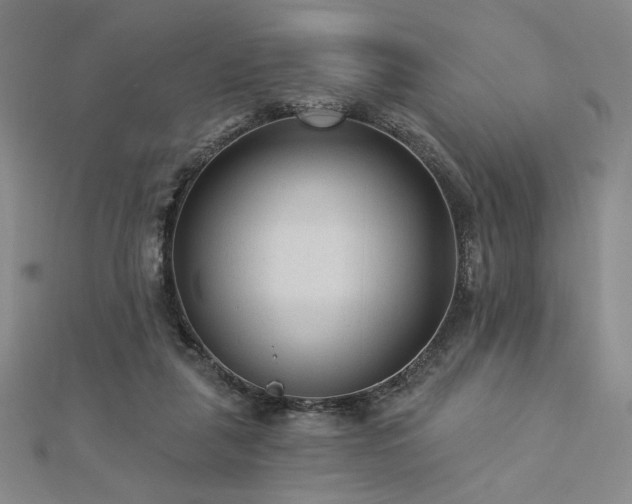 X0000113020259200908271440