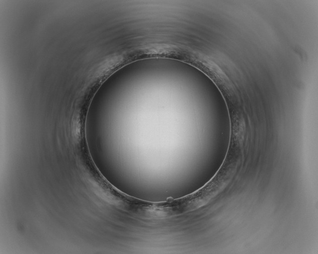 X0000113020261200908271440
