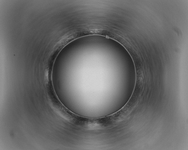X0000113020262200908271440