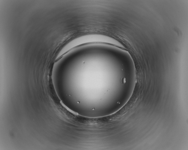 X0000113020264200908271440