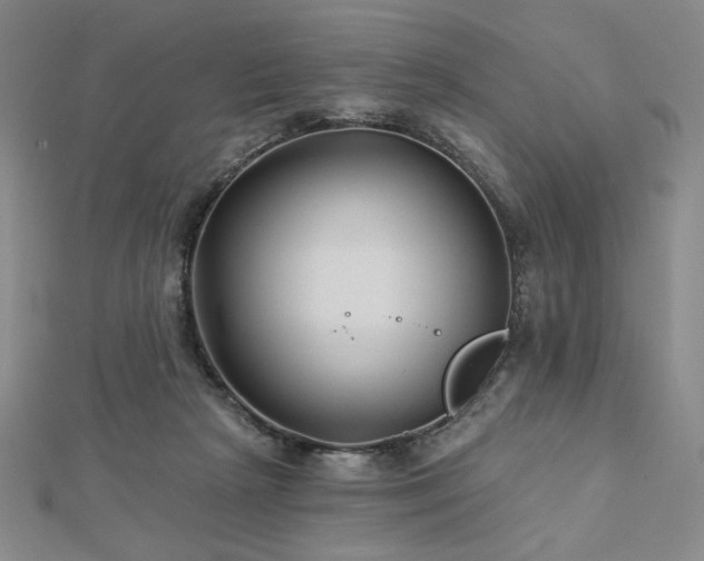 X0000113020265200908271440