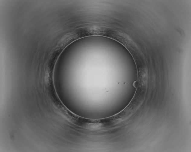 X0000113020266200908271440