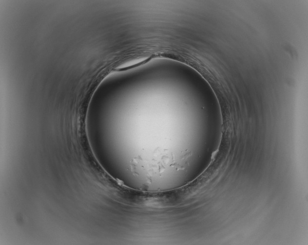 X0000113020268200908271440