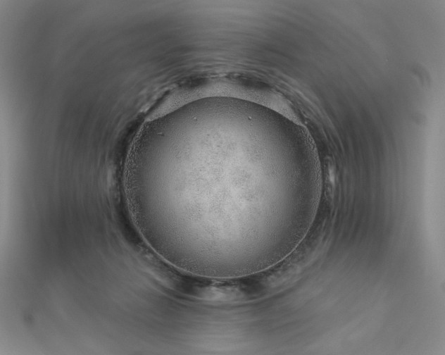X0000113020270200908271440