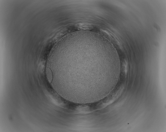 X0000113020271200908271440