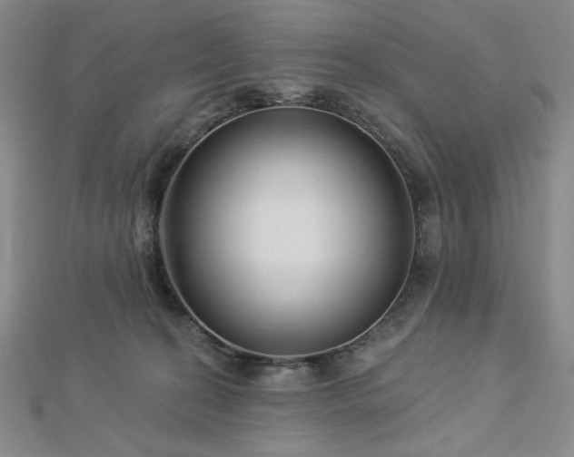 X0000113020274200908271440