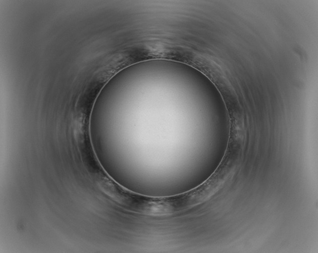 X0000113020275200908271440